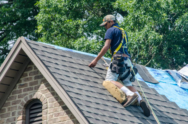 Roof Waterproofing Services in Morris, IL